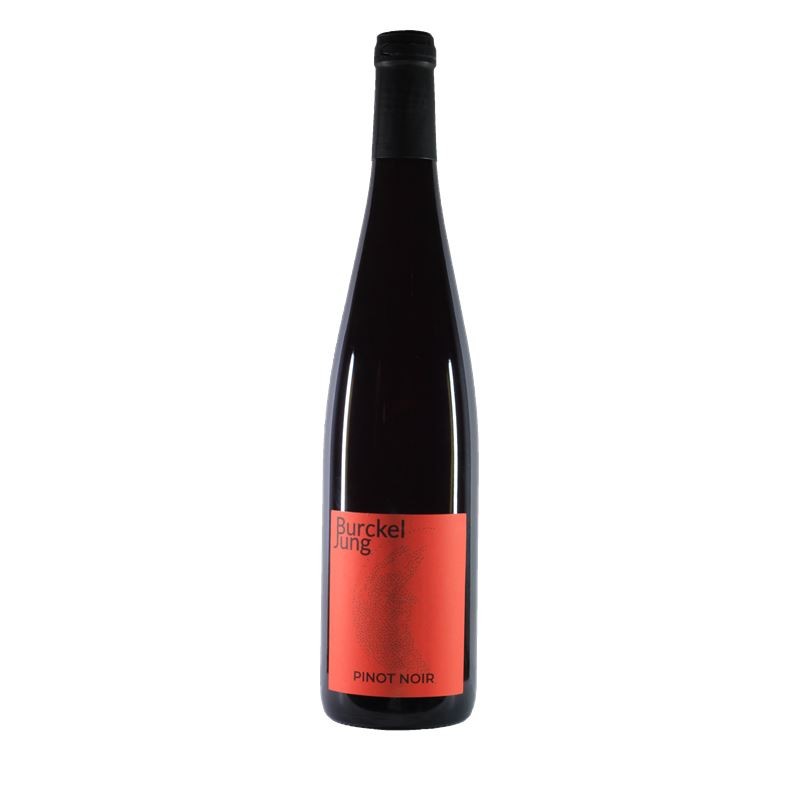 PINOT NOIR - Domaine Burckel Jung