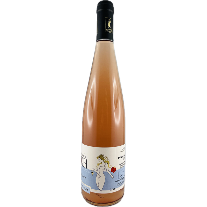 Rosé cuvée Laurène Domaine Pierre Koch et Fils